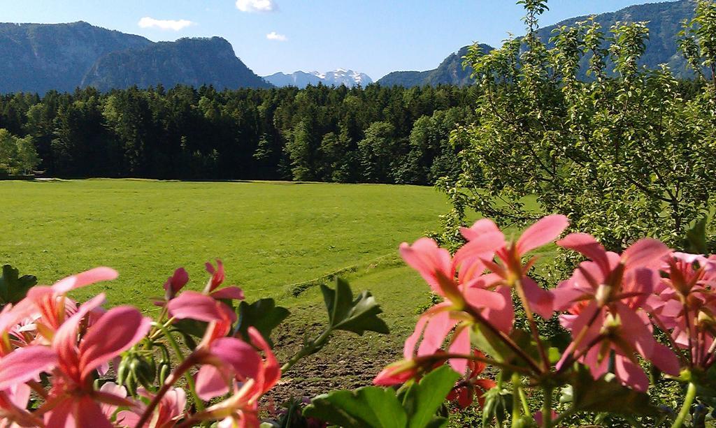 Gaestehaus Restner - Chiemgau Karte Inzell Eksteriør billede